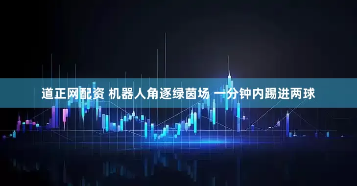 道正网配资 机器人角逐绿茵场 一分钟内踢进两球
