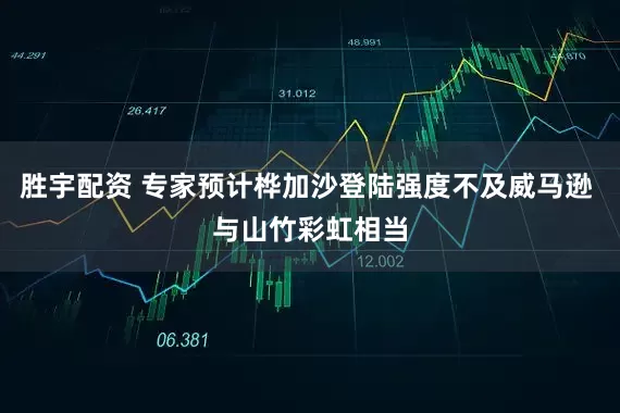 胜宇配资 专家预计桦加沙登陆强度不及威马逊 与山竹彩虹相当